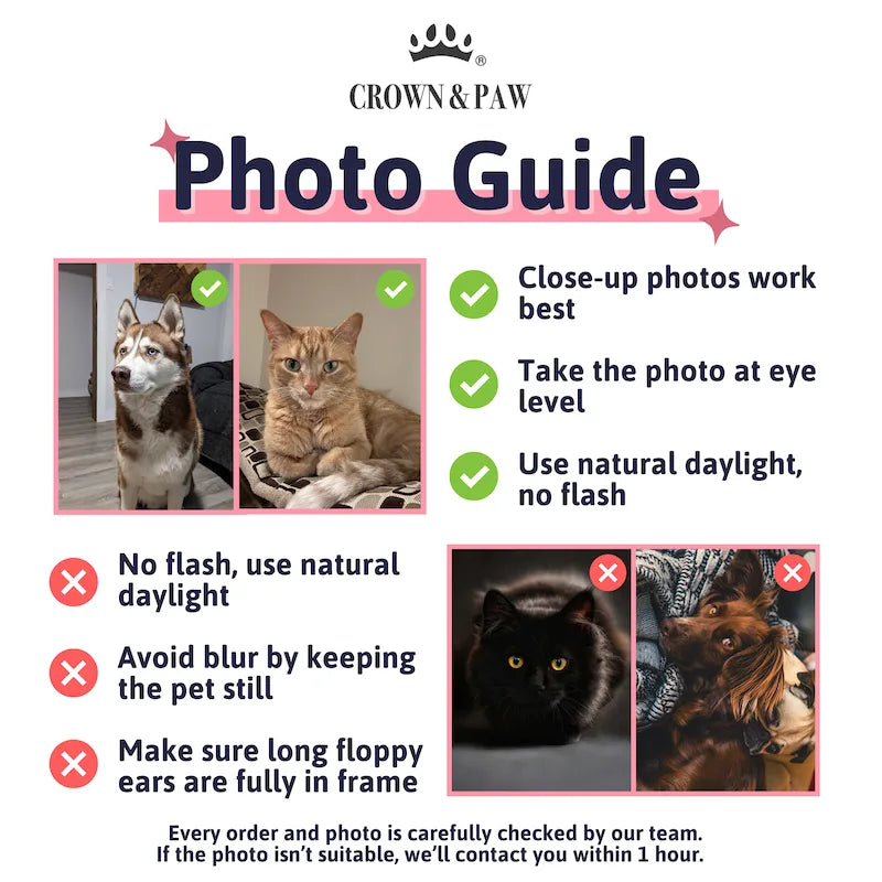 Photo guide for ordering Modern Pet Portrait - One Pet