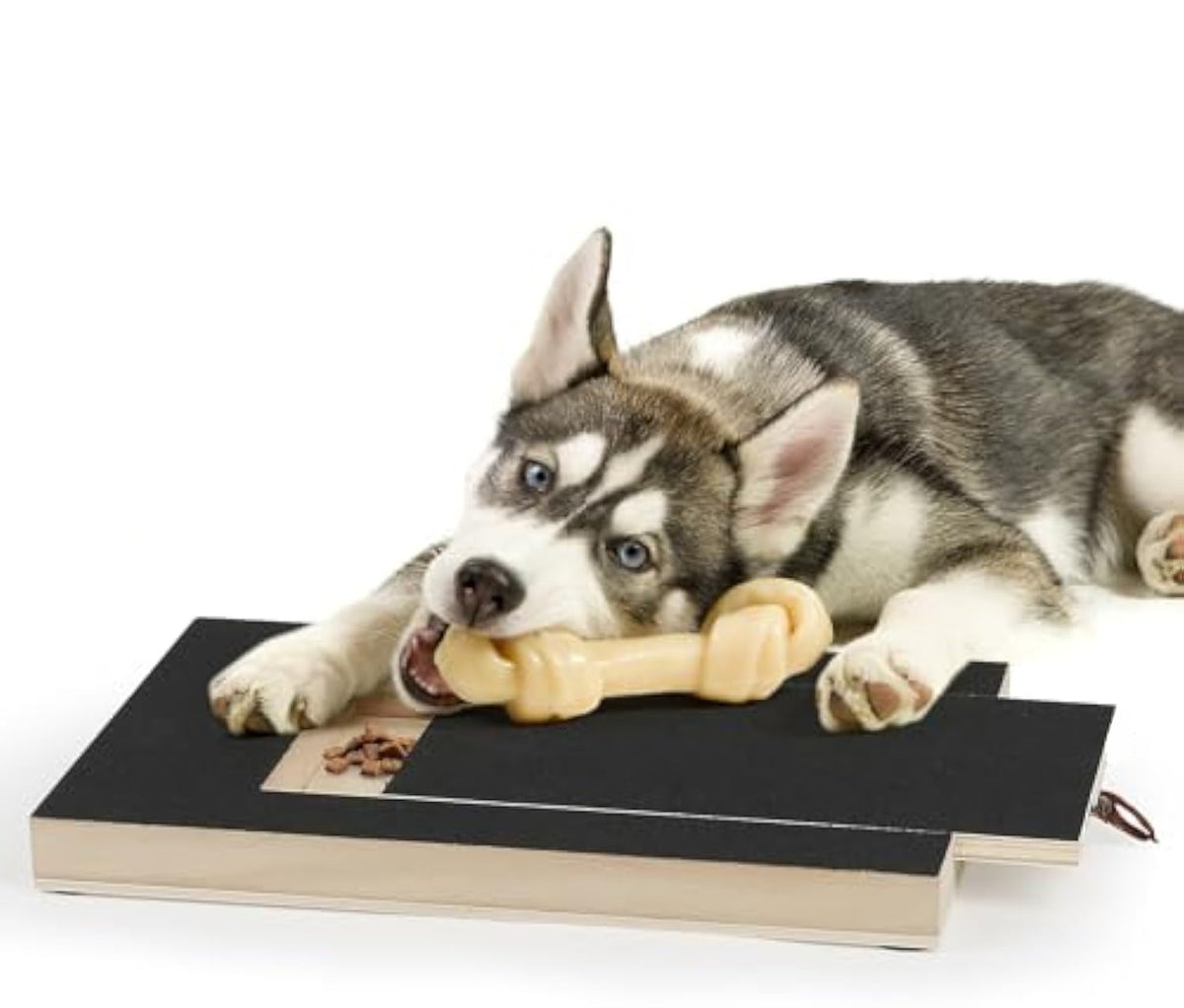Dog Nail Scratch Board with Treat Box