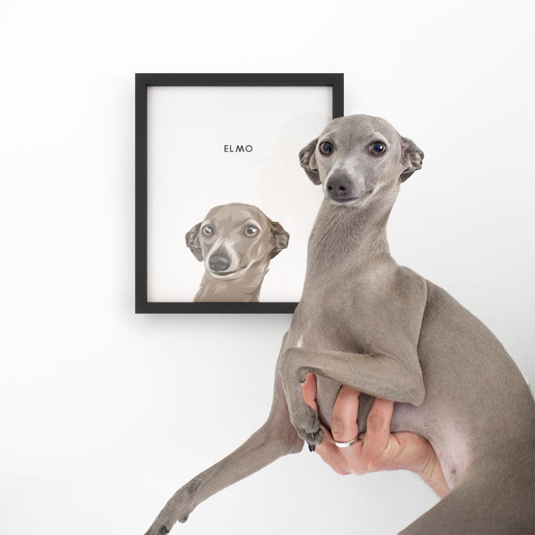 Modern Pet Portrait - One Pet — Modern Pet Portraitfrom Photos2