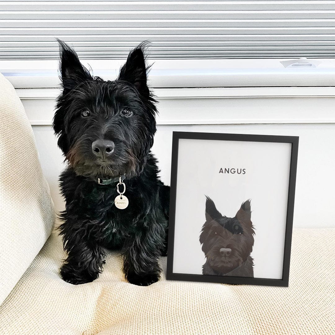 Modern Pet Portrait - One Pet — Modern Pet Portraitfrom Photos3