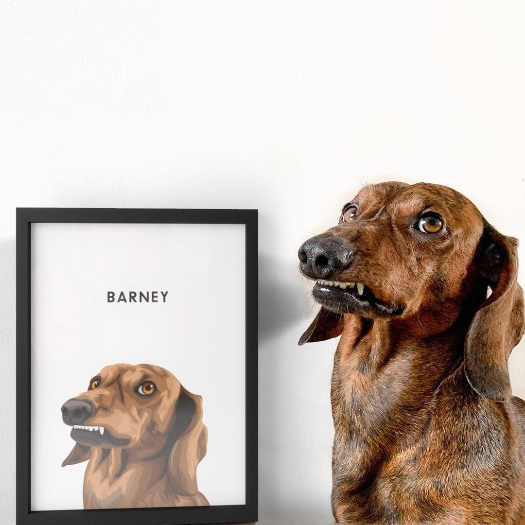 Modern Pet Portrait - One Pet — Modern Pet Portraitfrom Photos4
