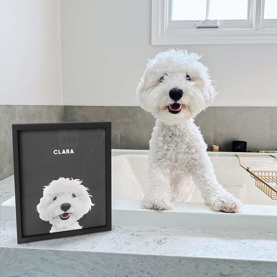 Modern Pet Portrait - One Pet — Modern Pet Portraitfrom Photos6
