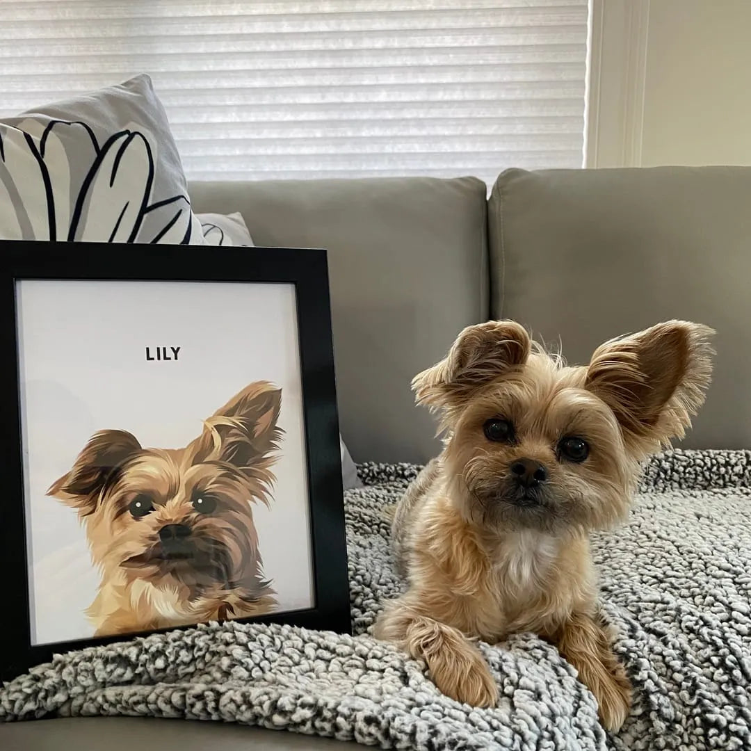 Modern Pet Portrait - One Pet — Modern Pet Portrait One Pet