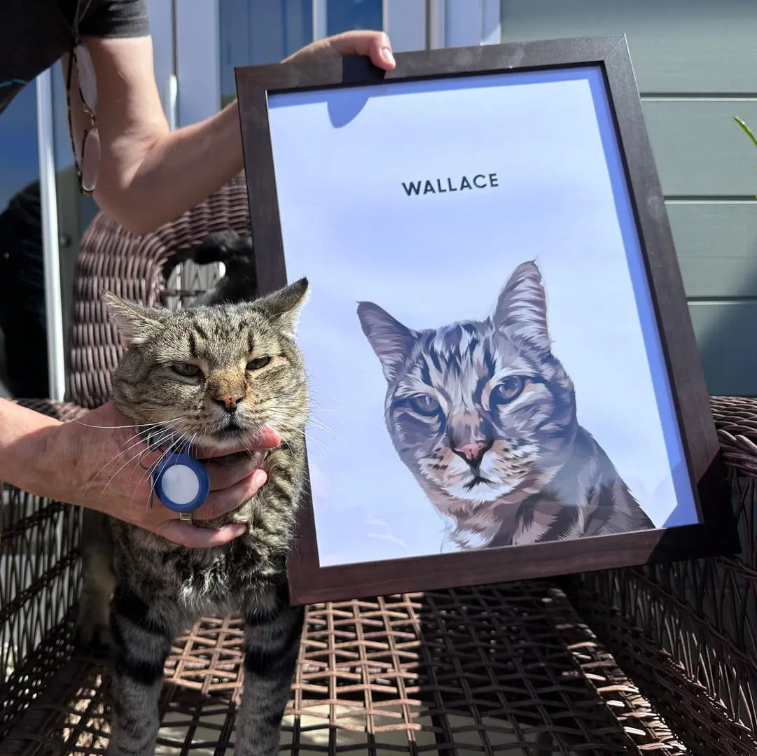 Modern Pet Portrait - One Pet — Modern Pet Portrait One Pet