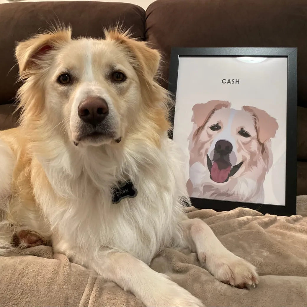 Modern Pet Portrait - One Pet — Modern Pet Portrait One Pet