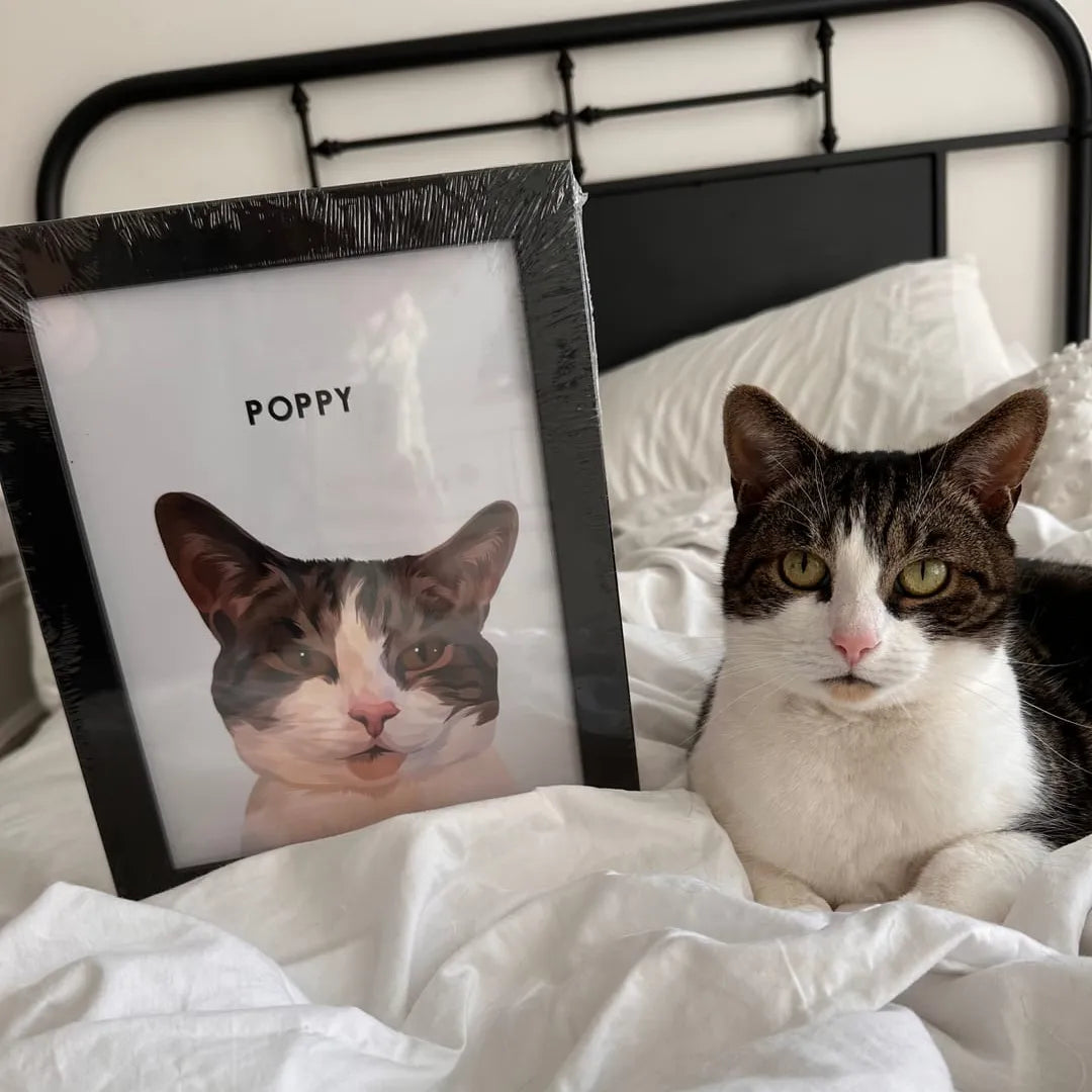 Modern Pet Portrait - One Pet — Modern Pet Portrait One Pet