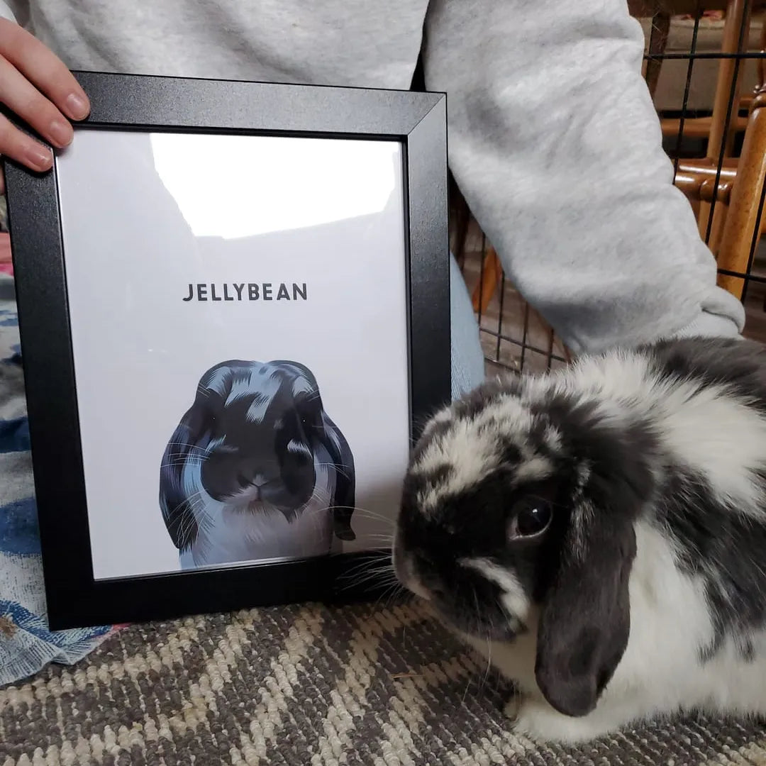 Modern Pet Portrait - One Pet — Modern Pet Portrait One Pet