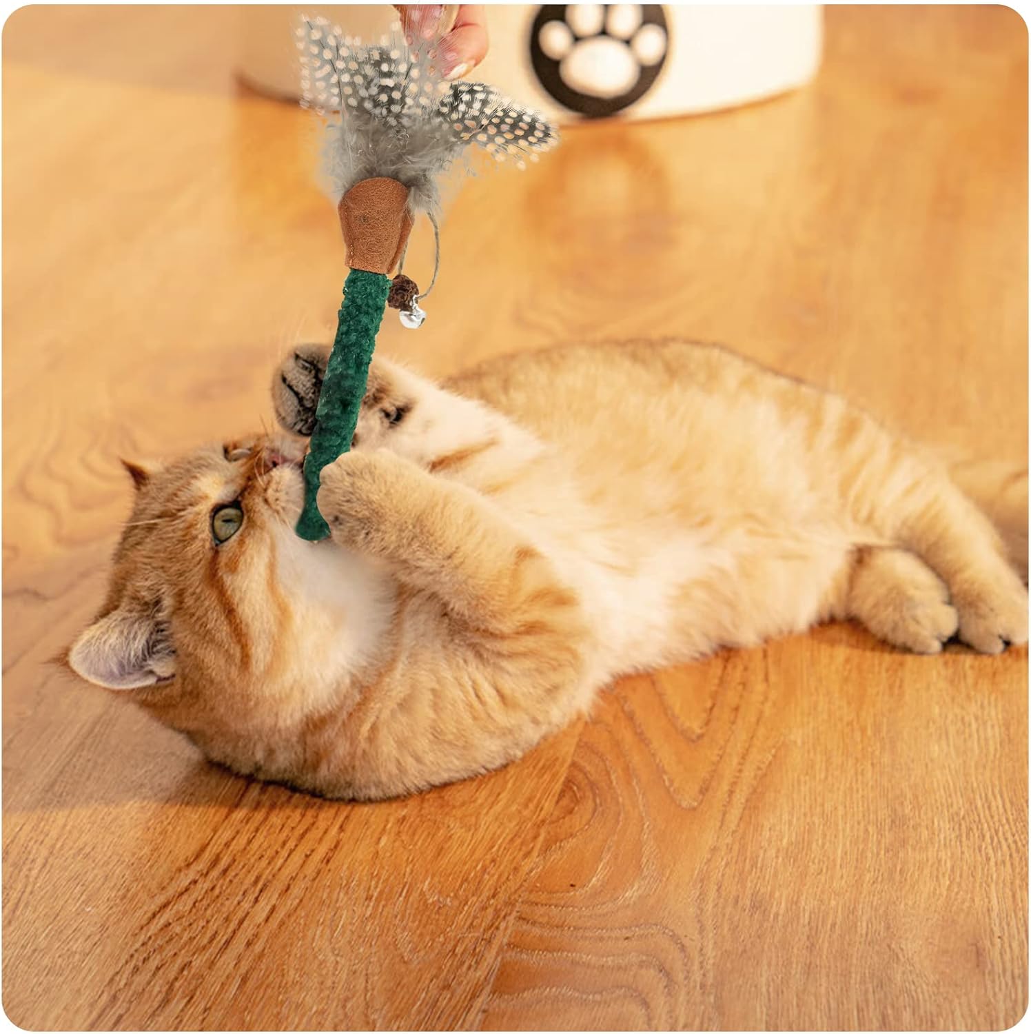 Orange cat holding a green silvervine chew stick