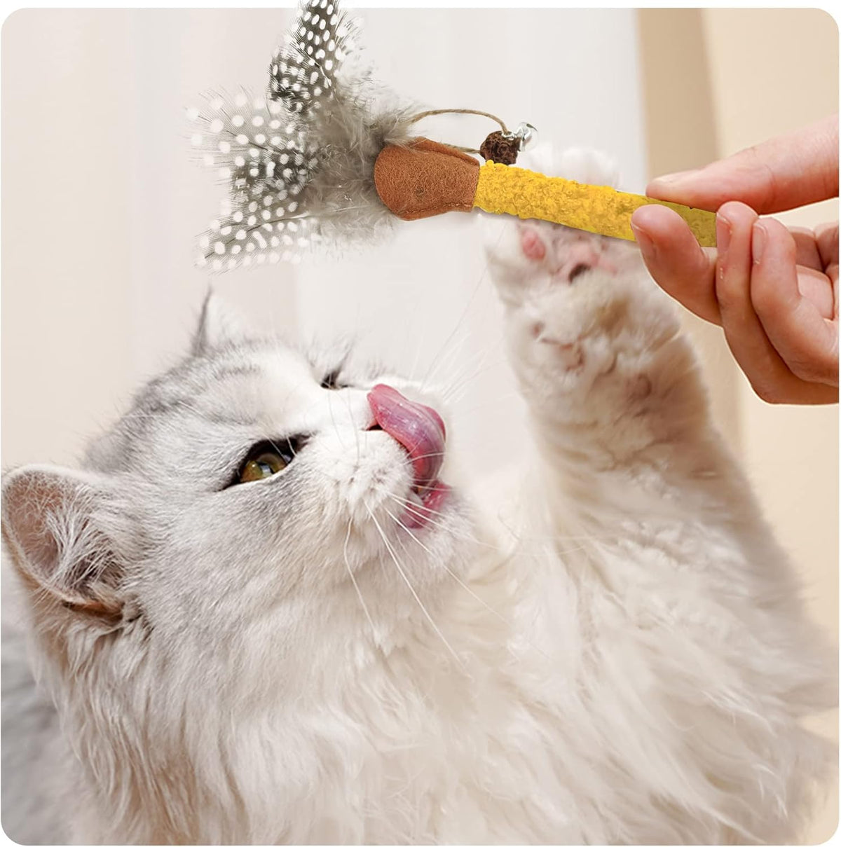 White cat playing with a feather-topped silvervine chew stick