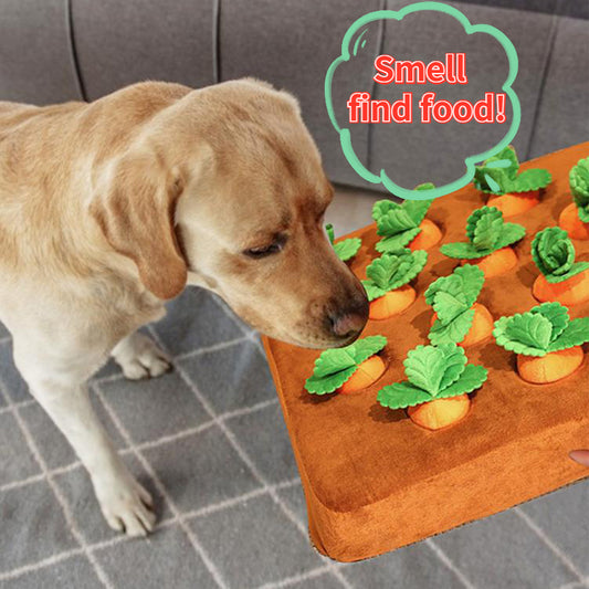 Carrot Garden Snuffle Toy for Dogs