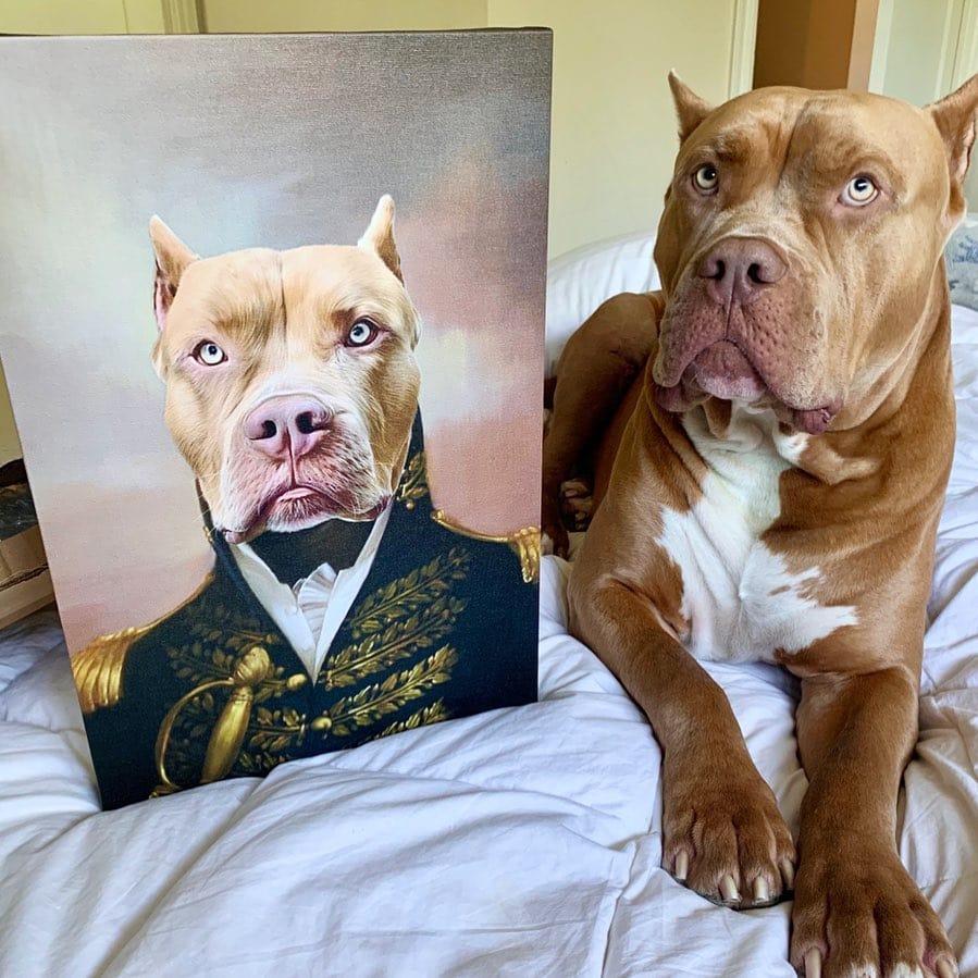 The General - Custom Pet Canvas product gallery view 18